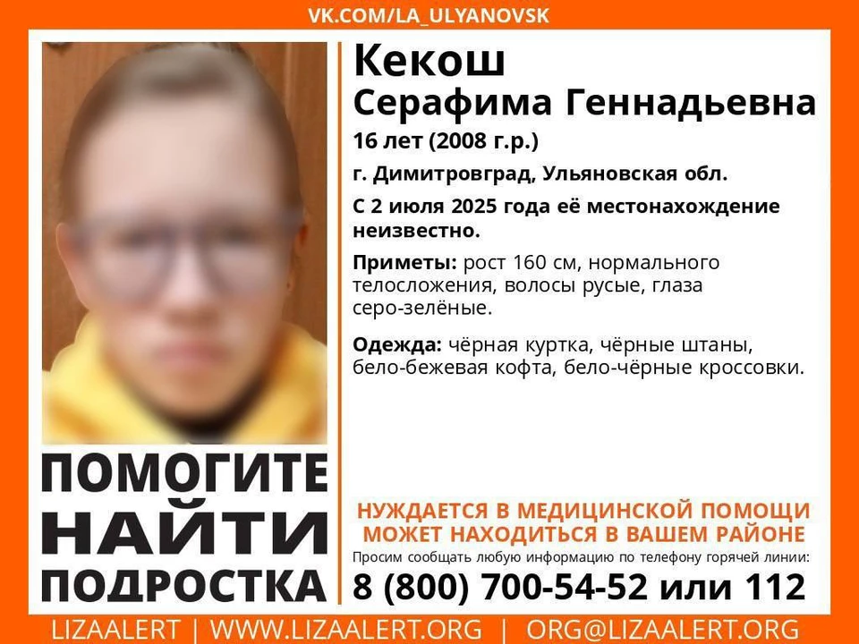 В Ульяновской области ищут пропавшую девушку-подростка. Фото ЛизаАлерт
