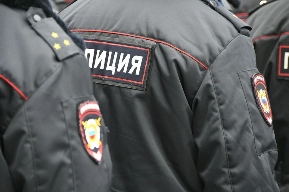 Избил и отнял у прохожего телефон рецидивист в Алексине Тульской области