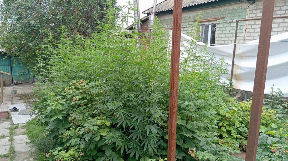 Фото ГУ МВД по области