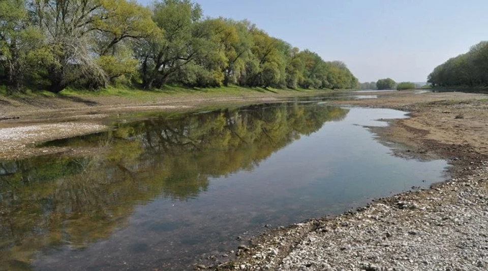 Уровень воды в Днестре за последние недели снизился почти на 3 метра. Фото: соцсети