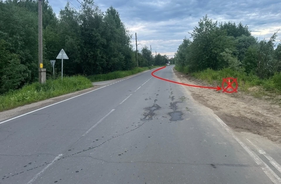 Фото: Госавтоинспекция Коми