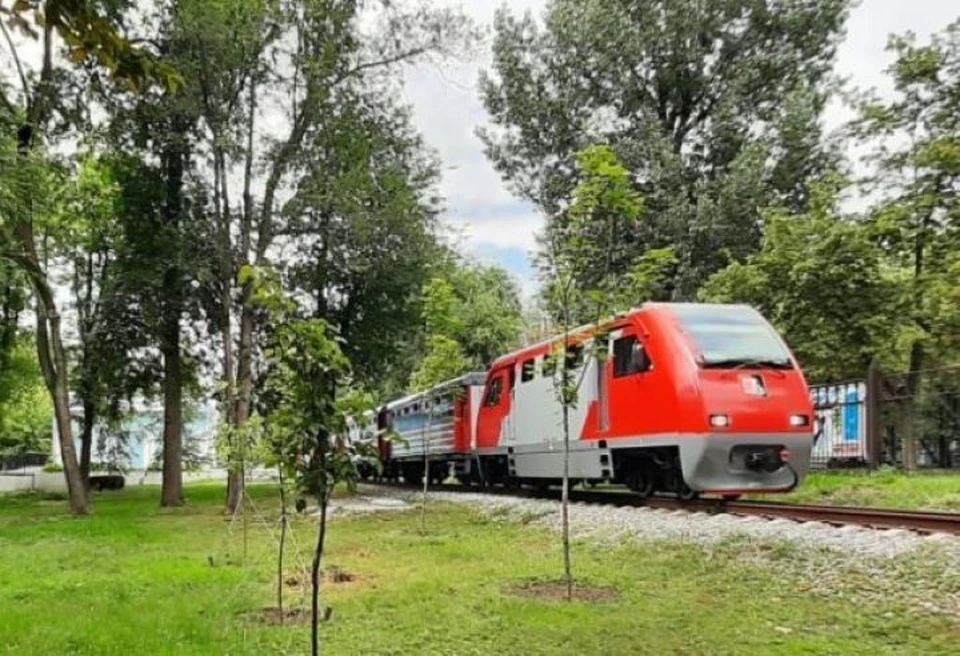 Длина основной дистанции составила 4 км. Фото: пресс-служба администрации Ростова.
