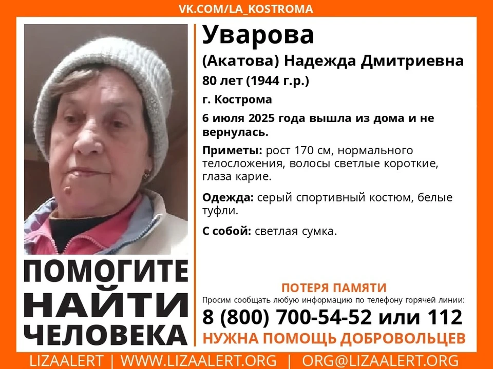 Фото: Поисково-спасательный отряд "ЛизаАлерт"
