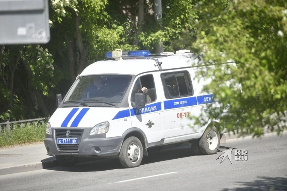 В полиции назначили проверку