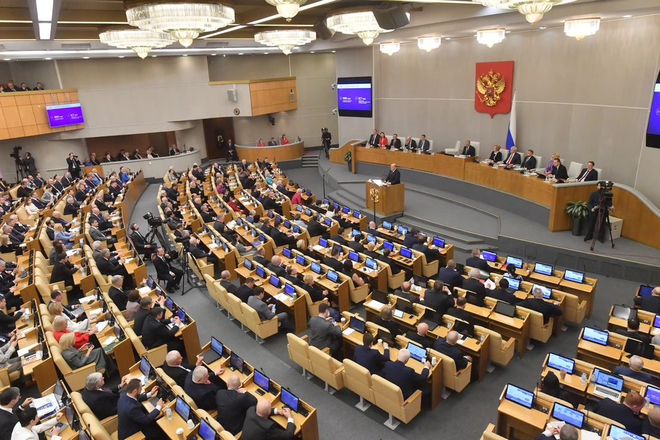 ГД может предложить новые основания для лишения гражданства ко второму чтению