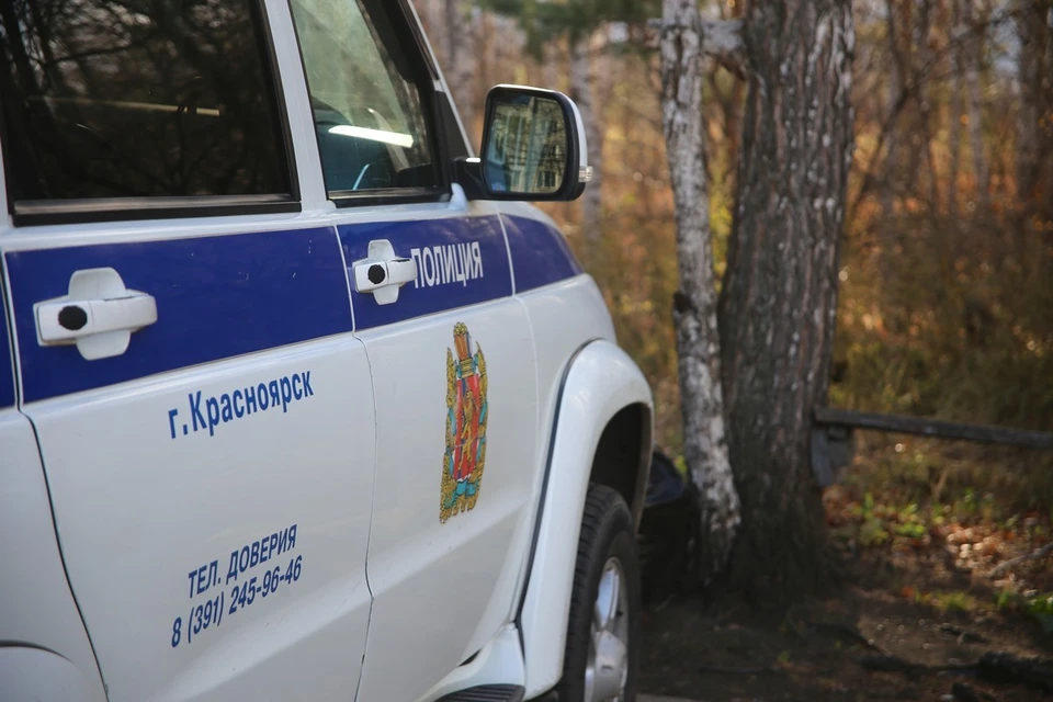 Жительница Красноярского края оклеветала сожителя