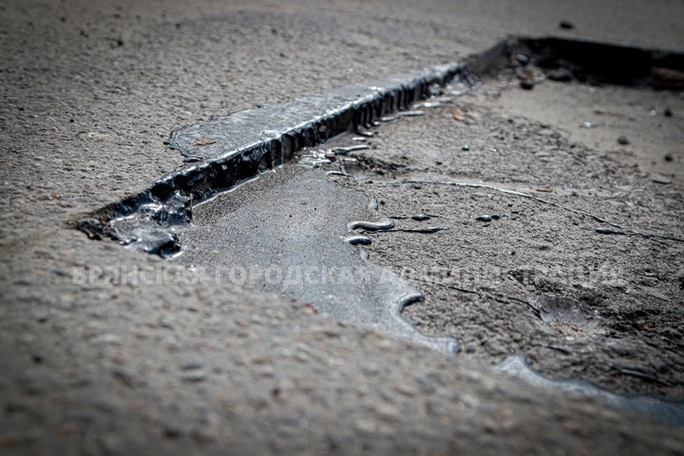 Фото: пресс-служба Брянской городской администрации.