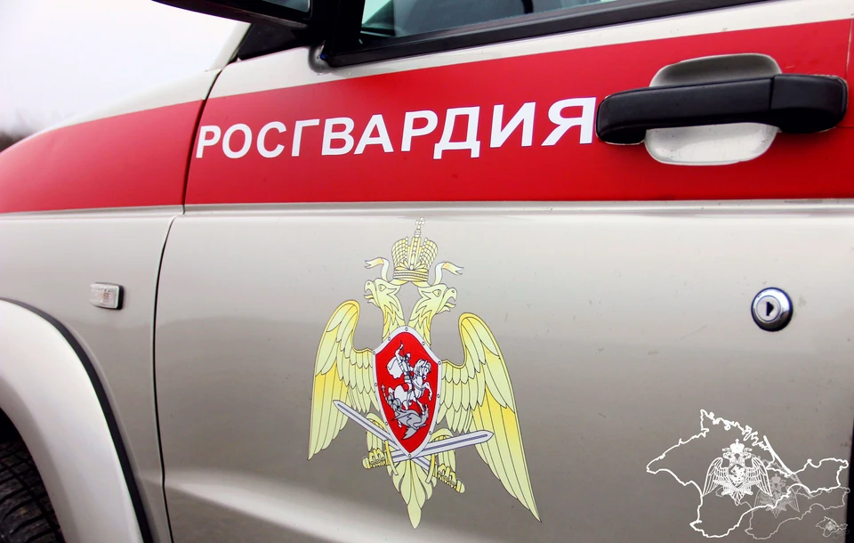 Нарушителей порядка препроводили в полицию. Фото: 82.rosguard.gov.ru