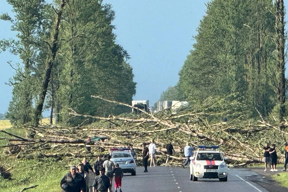 Стихия пронеслась по Витебской области. Фото: телеграм-канал «Метеовайб».