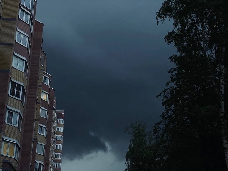 Фото: фотоархив портала "КП в Костроме"