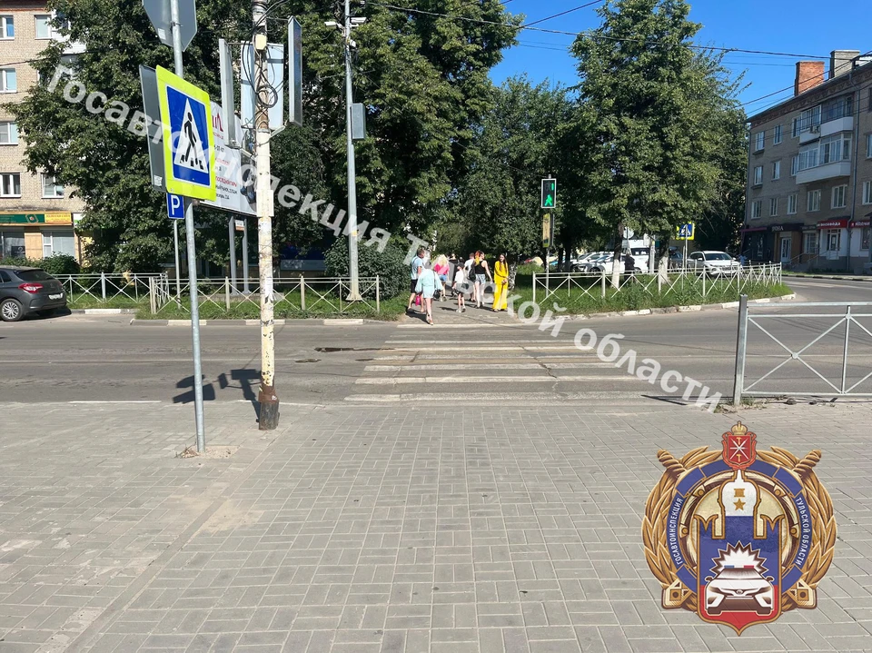 Шестилетнюю девочку сбили на пешеходном переходе в Новомосковске Тульской области