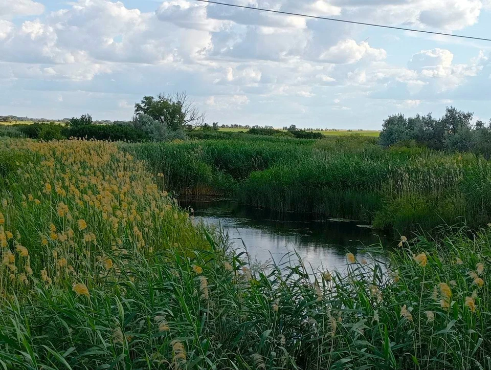 До +38 градусов жары и грозы ожидаются в Белгородской области в выходные