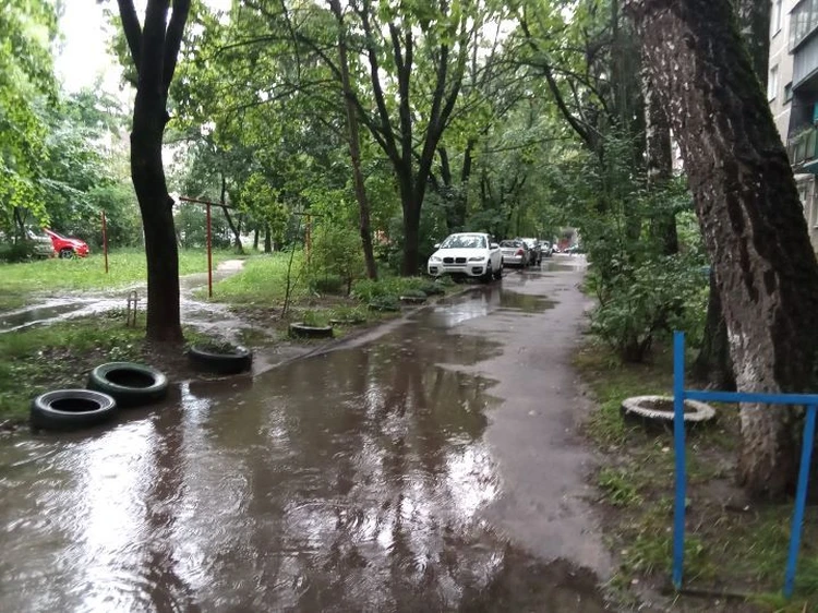 Ураган в Курской области отключал свет, валил деревья и срывал крыши