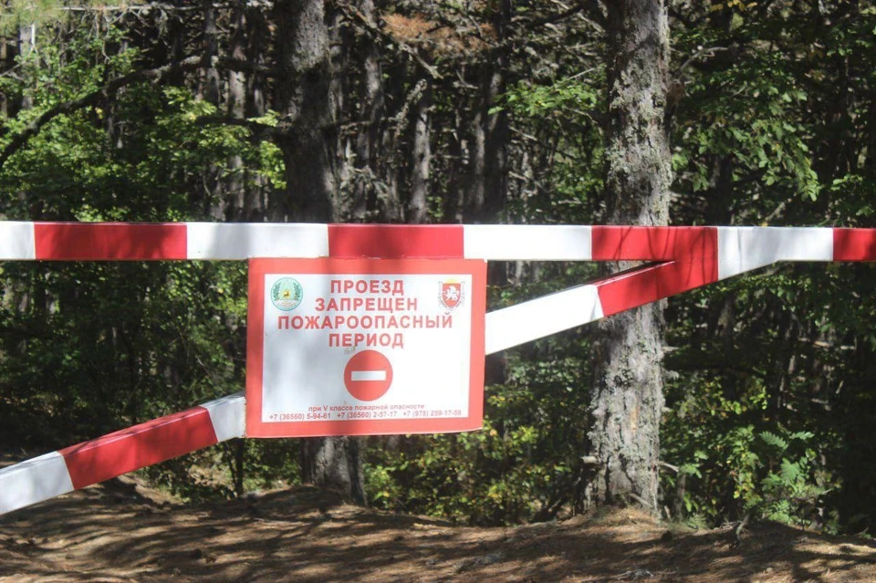 Доступ в леса запрещен. Фото: 82.mchs.gov.ru