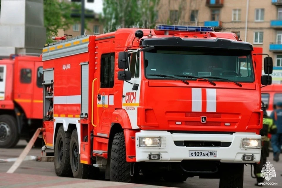 Об опасности пожаров 15 июля предупреждают спасатели. Фото: ГУ МЧС по Запорожской области
