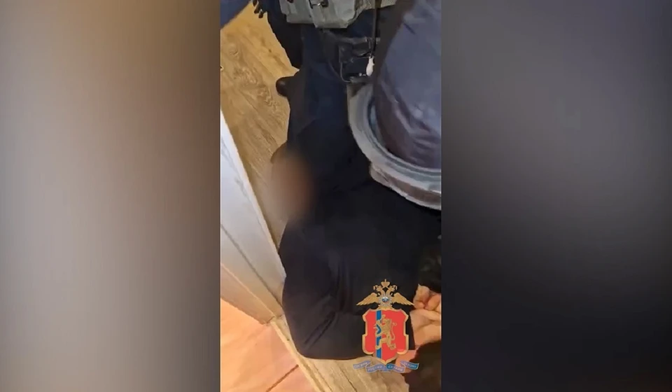 В Железногорске ожидают суда сообщники, лишившие мужчину единственного жилья. Скриншот: видео краевого МВД