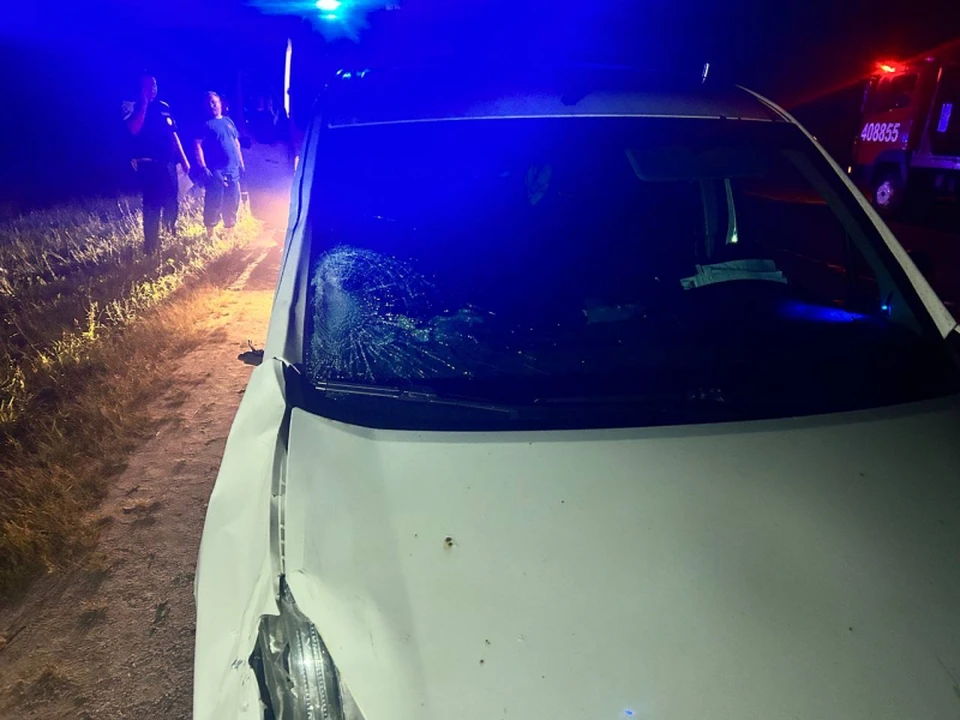 Личность пешехода, погибшего под колесами Citroen в Рязанском районе, не установлена.