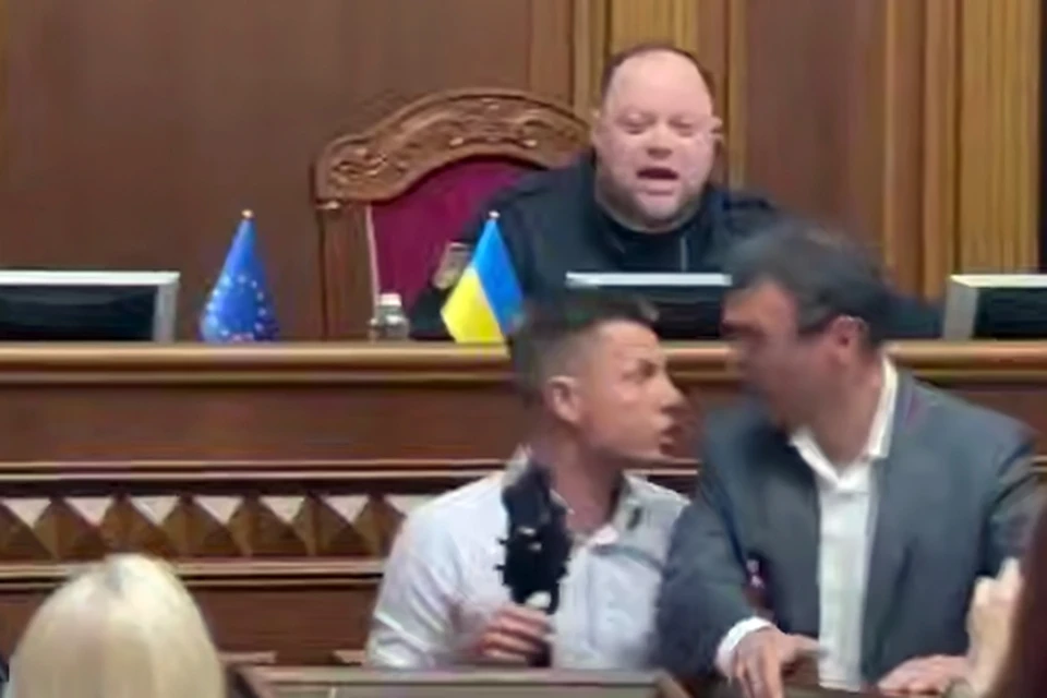 Нардепы Гончаренко и Гетманцев устроили потасовку за трибуной Рады.