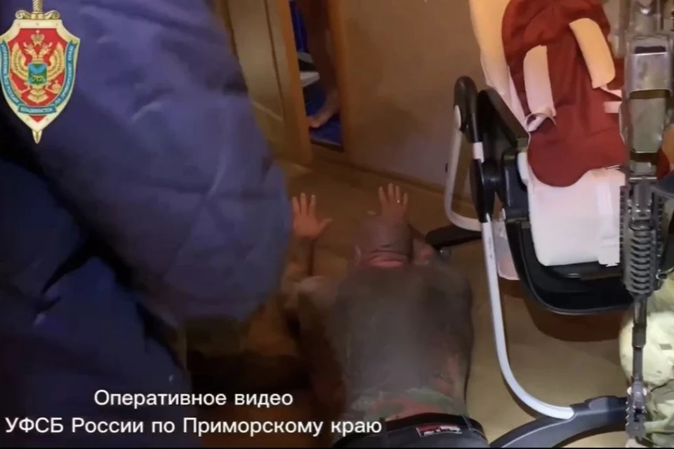 Подозреваемые заключены под стражу. Фото: принтскрин видео УФСБ России по Приморскому краю