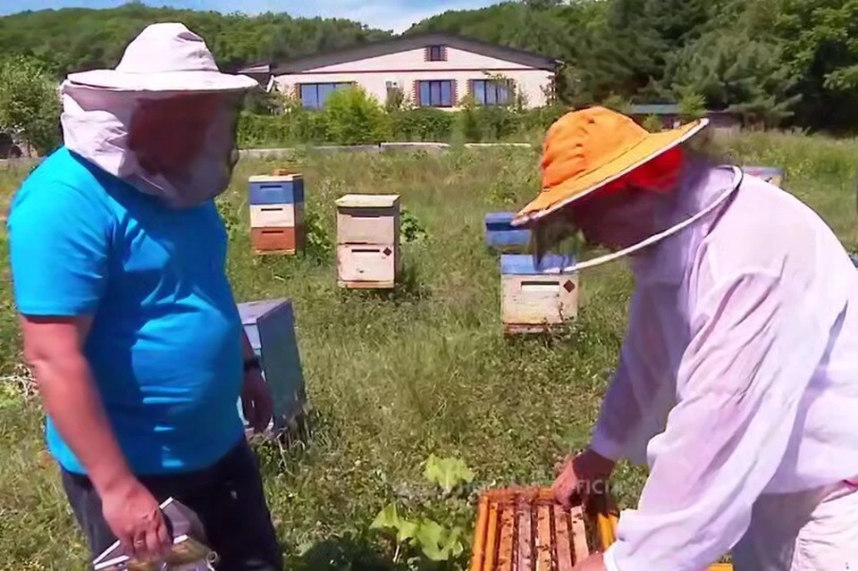 Местный липовый мед пользуется особым спросом. Фото: скриншот видео Олега Кожемяко