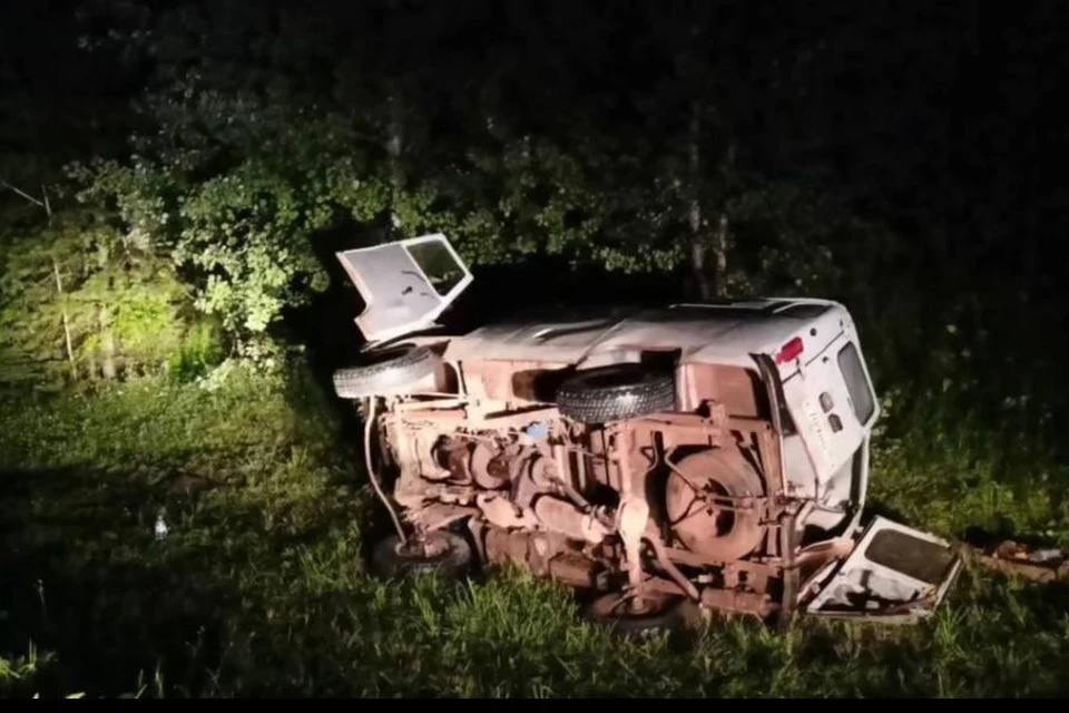 Фото: скриншот из видео Госавинспекции Пермского края