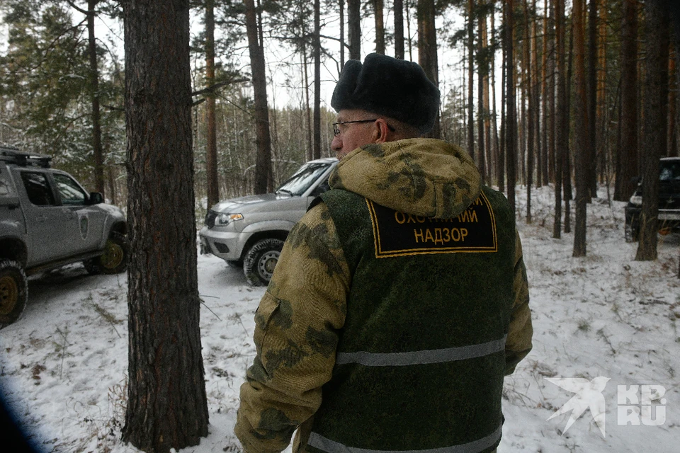 В Рязанской области изменили лимиты на добычу лосей и косуль - уменьшили, и оленей - увеличили.