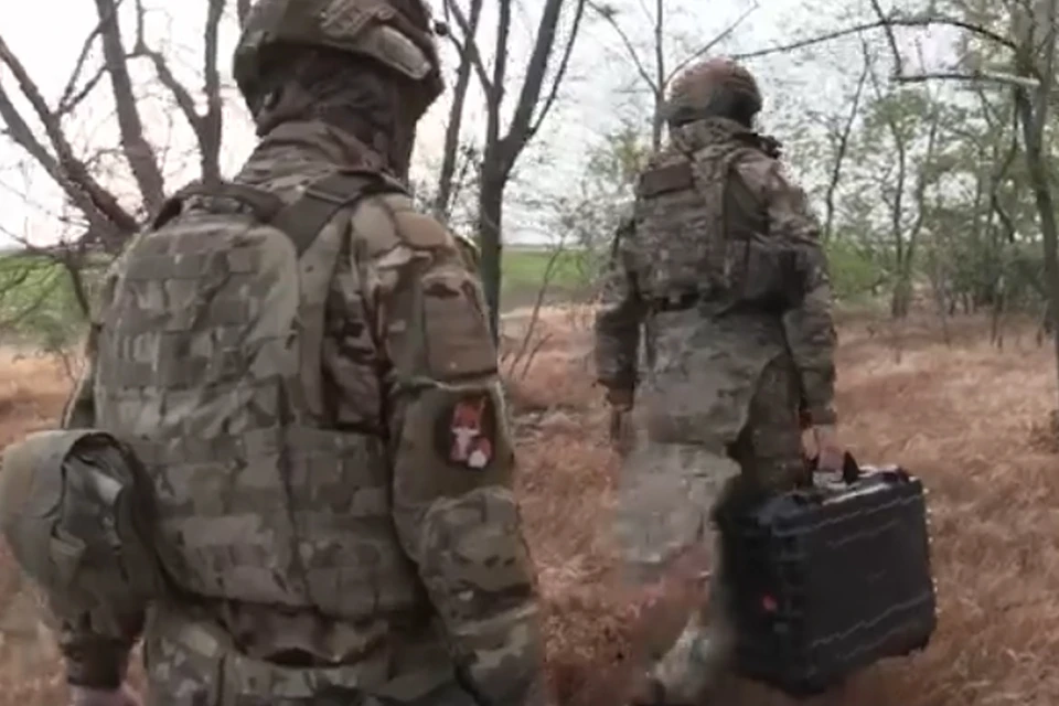 Фото: скриншот из видео Минобороны РФ