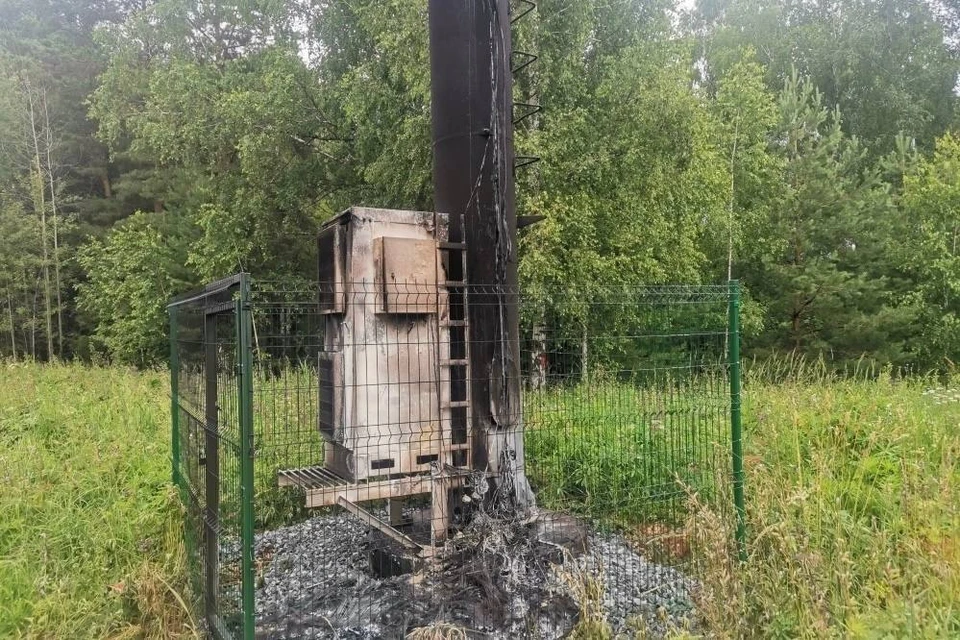Фото: администрация Чайковского городского округа