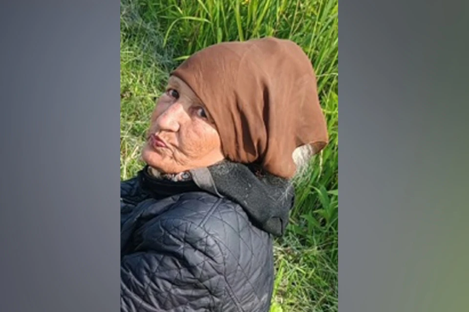 В Тверской области ищут 74-летнюю бабушку с сумкой на колёсиках. Фото: группа в соцсетях отряда «Сова».