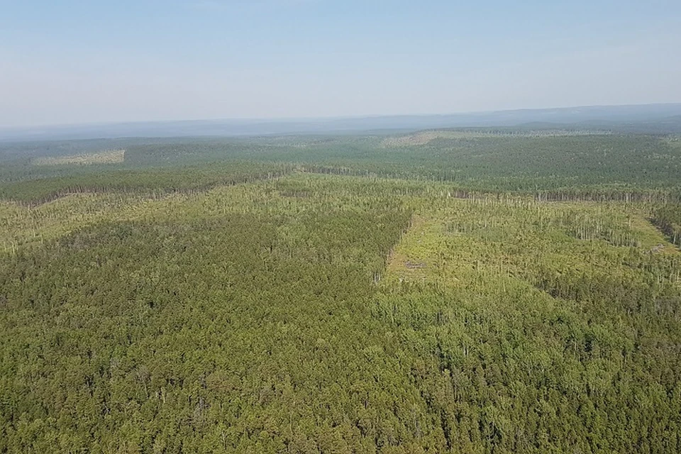 Пожар полностью ликвидировали в Аяно-Майском районе Хабаровского края