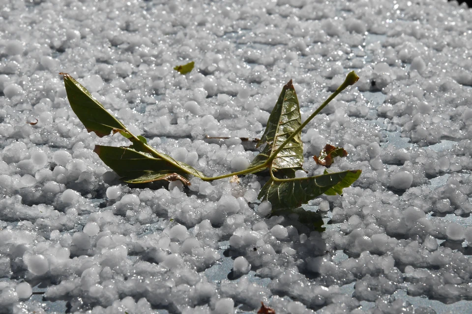 По юго-востоку Башкирии сохранится чрезвычайная пожароопасность.