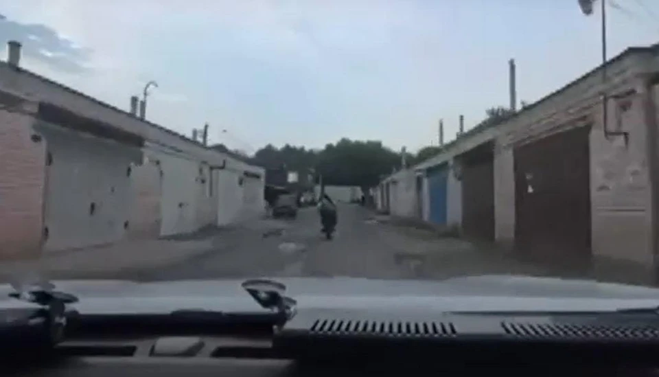 Фото УМВД России по Курской области