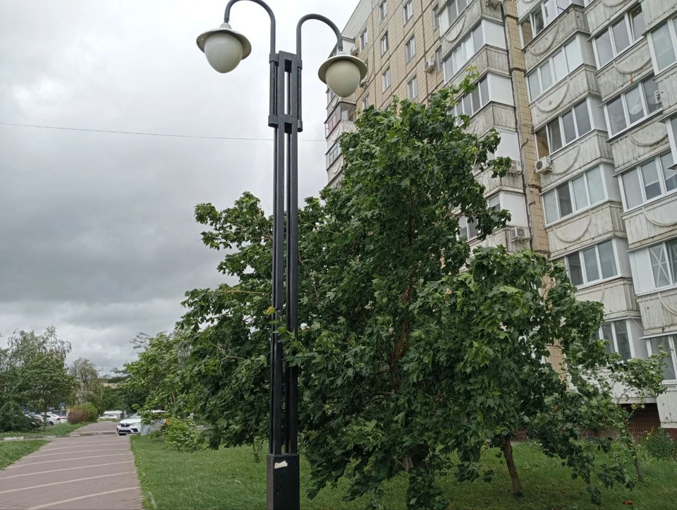 Тепло и дождливо будет в Белгородской области 24 июля