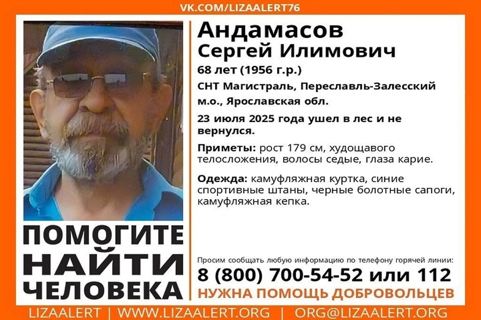 Дачник ушел за грибами и не вернулся. Фото: Лиза Алерт Ярославская область