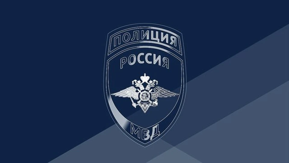 Фото: пресс-служба УМВД России по Костромской области