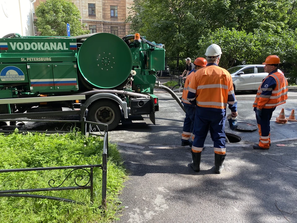 Петербург уже демонстрирует значительные успехи в экологической политике.