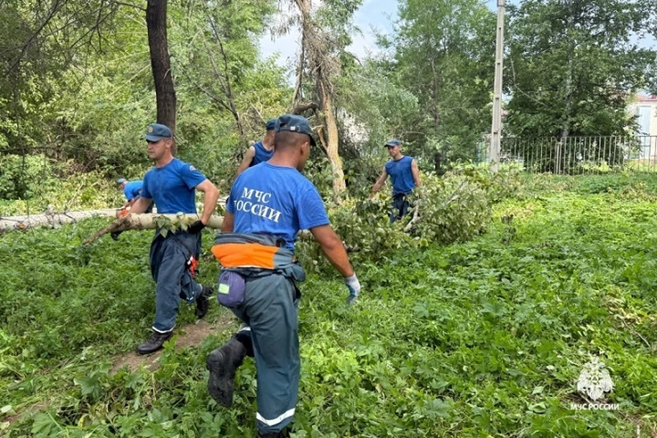 Спасатели устраняют последствия мощного грозового фронта в Хабаровске Фото: МЧС Хабаровского края