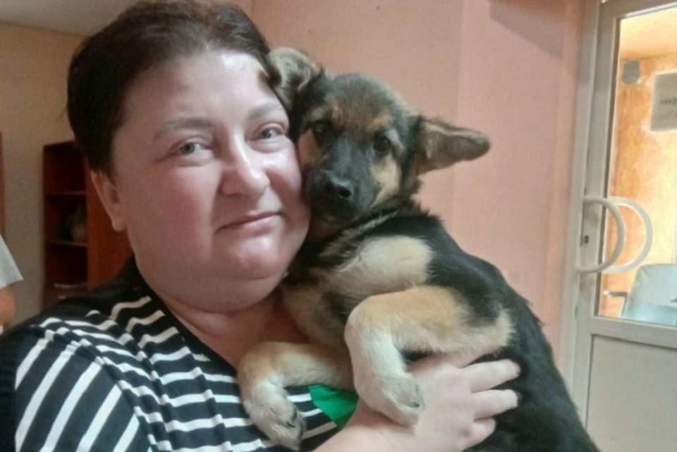 За судьбой каждой бродячей собаки скрыта своя история. Фото: Администрация Донецка