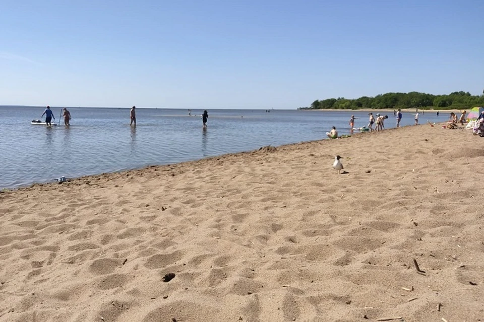 Не рекомендуется также купаться на пляже «Камское море» в Лаишево.