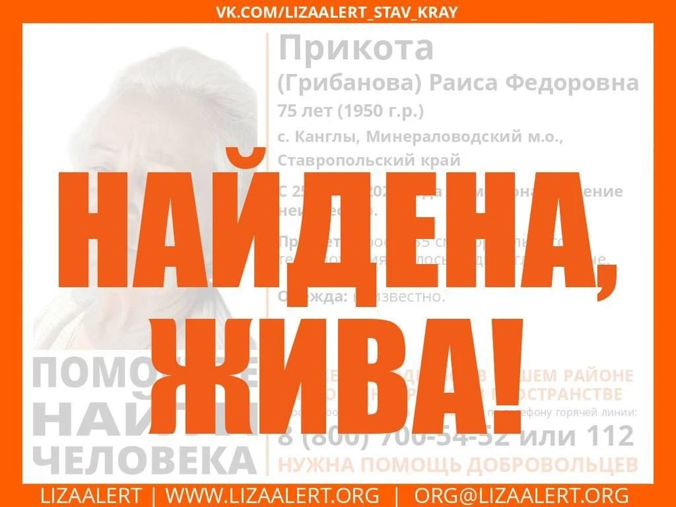 Фото: «ЛизаАлерт»