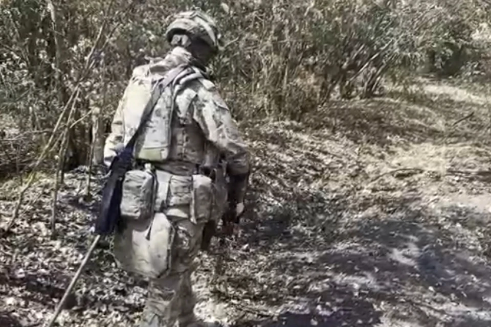 Фото: скриншот из видео Минобороны РФ