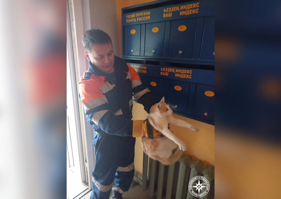 Фото: Госкомитет РБ по ЧС