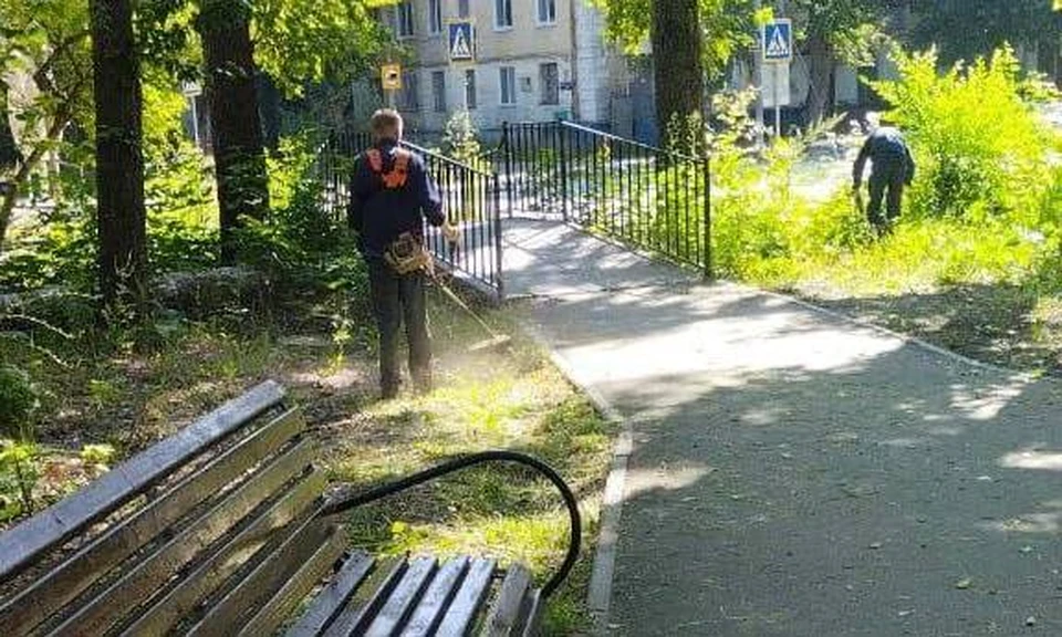 В Ульяновске приведут в порядок сквер УЗТС. ФОТО: тг-канал Центра по благоустройству и озеленению Ульяновска