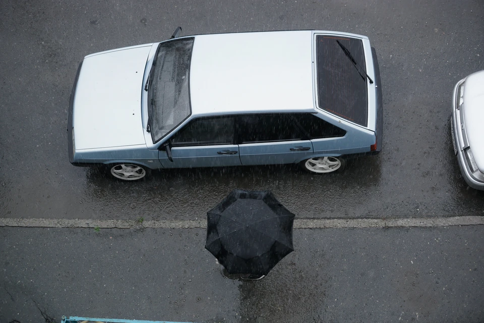 На западе области температура днем составит +10, +15°C