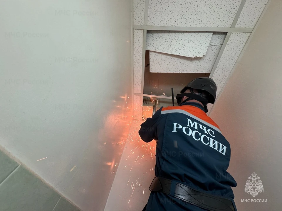 Спасатели Магадана освободили голубя, застрявшего в вентиляционной шахте Фото: МЧС Магаданской области