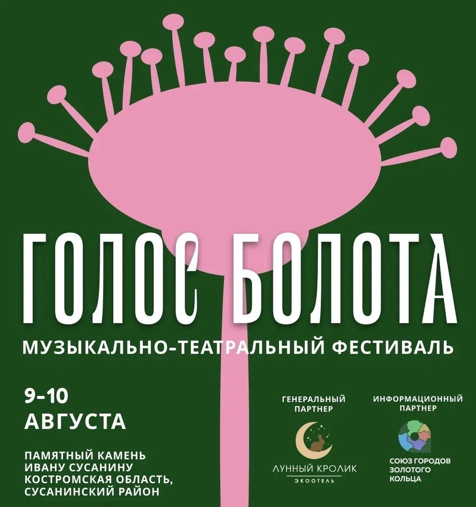 Фото: музыкально-театральный фестиваль "Голос болота"