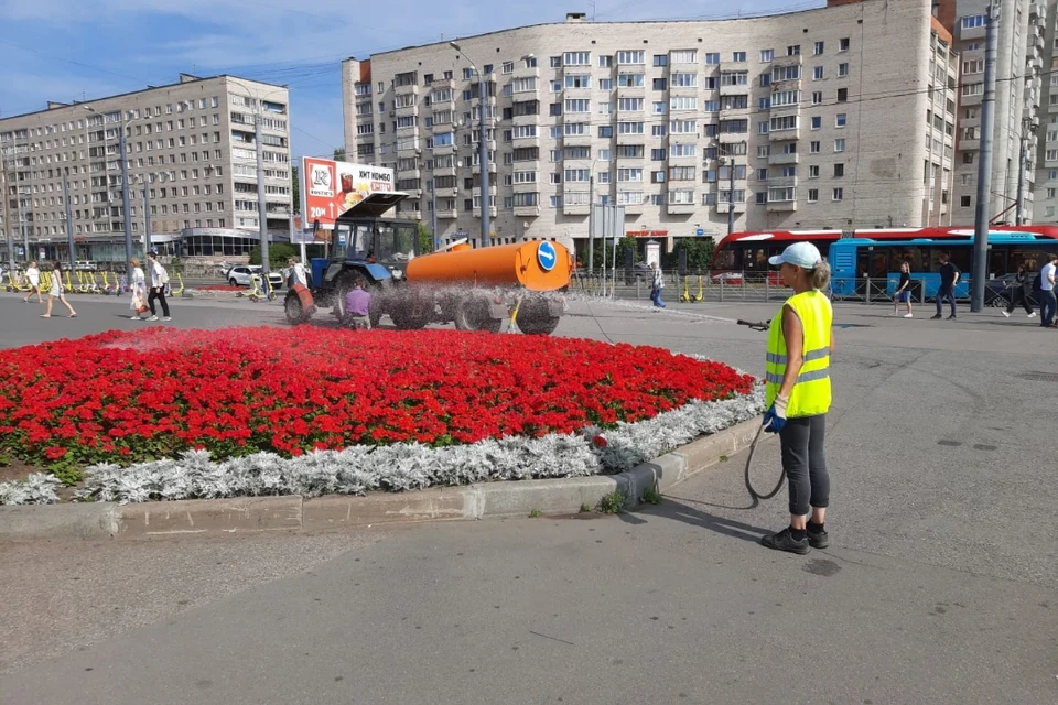 Особое внимание уделяется молодым деревьям и кустарникам. Фото: пресс-служба Комблага