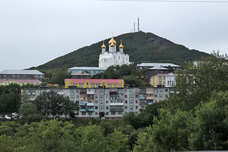 "Сейсмоустойчивость надежная, организация высокая, жертв нет": в Кремле оценили ситуацию на Камчатке после землетрясения и цунами