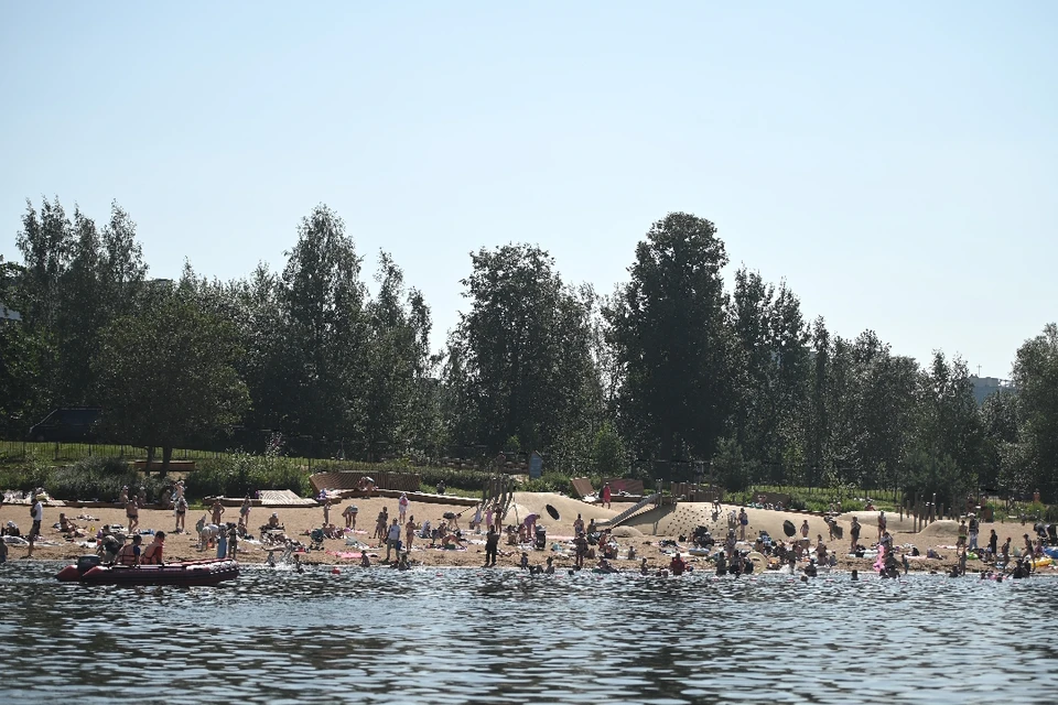 Суздальские озера очистят. Возможно, в этом помогут водоросли.