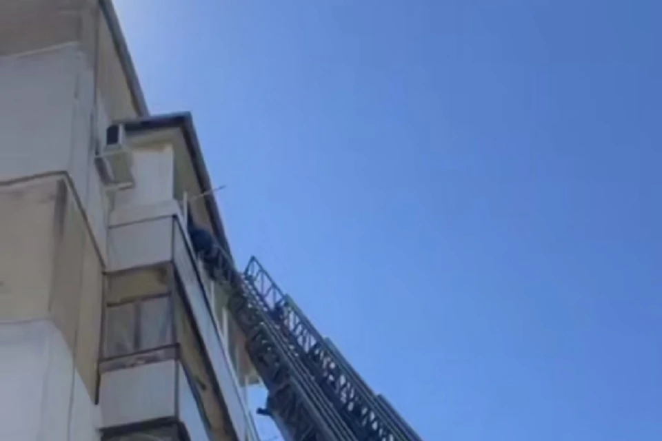 Сотрудники МЧС спасли женщину, ребенка и кота. Фото: кадр видео пресс-службы ГУ МЧС по РК